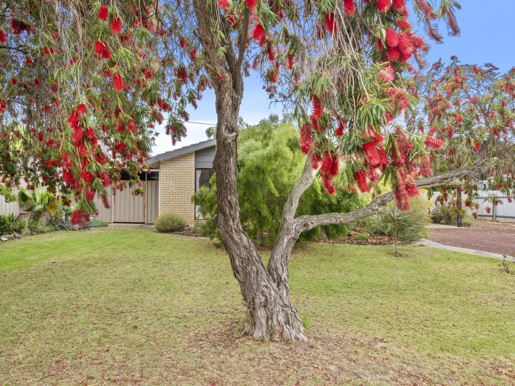 14 William St, Finley, NSW 2713