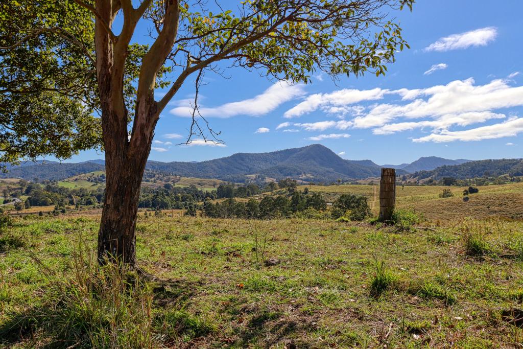 Lot 29, 46 Lynches Creek Rd, Wiangaree, NSW 2474
