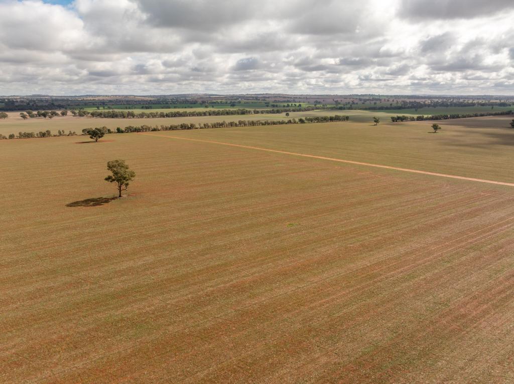 Contact Agent For Address, Old Junee, NSW 2652