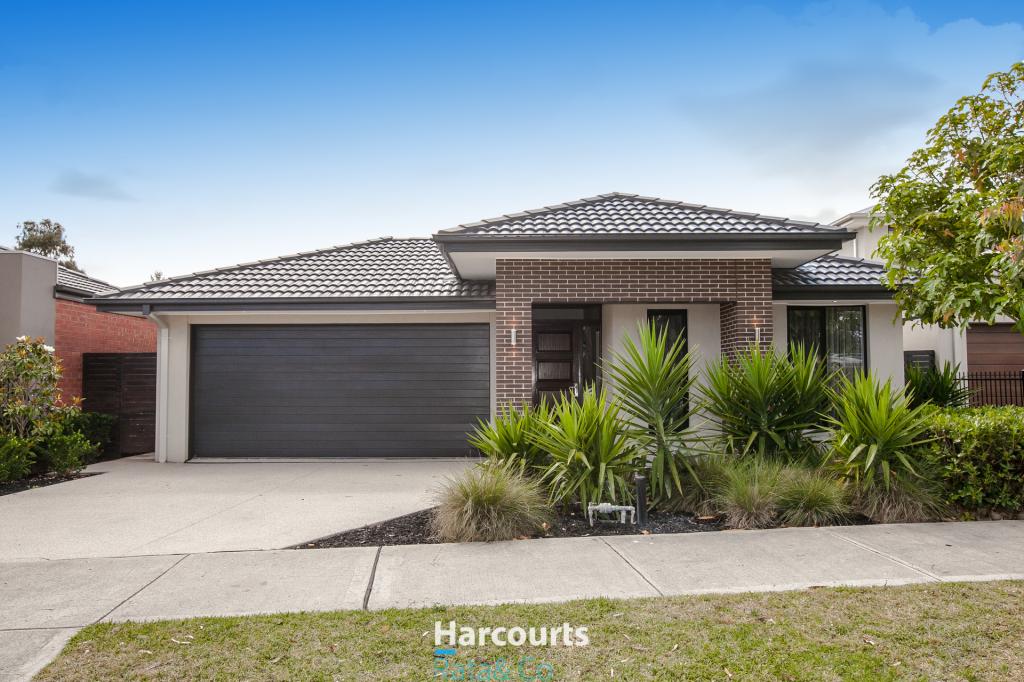 19 Mintbush Gra, Mernda, VIC 3754