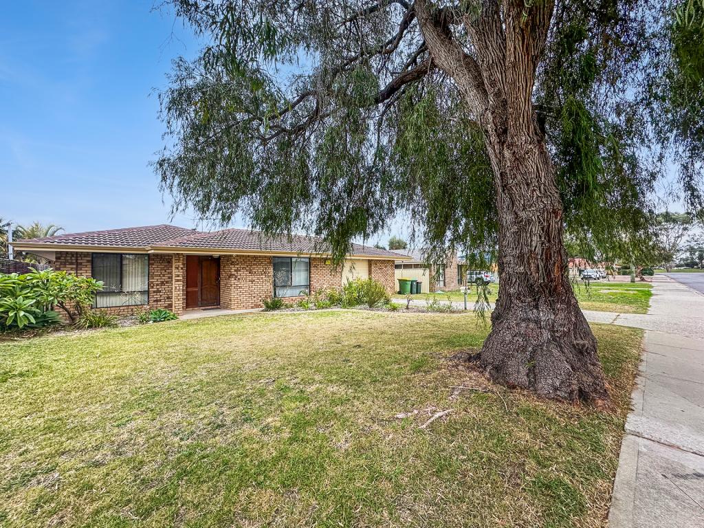 12 Erindoon Way, Waikiki, WA 6169