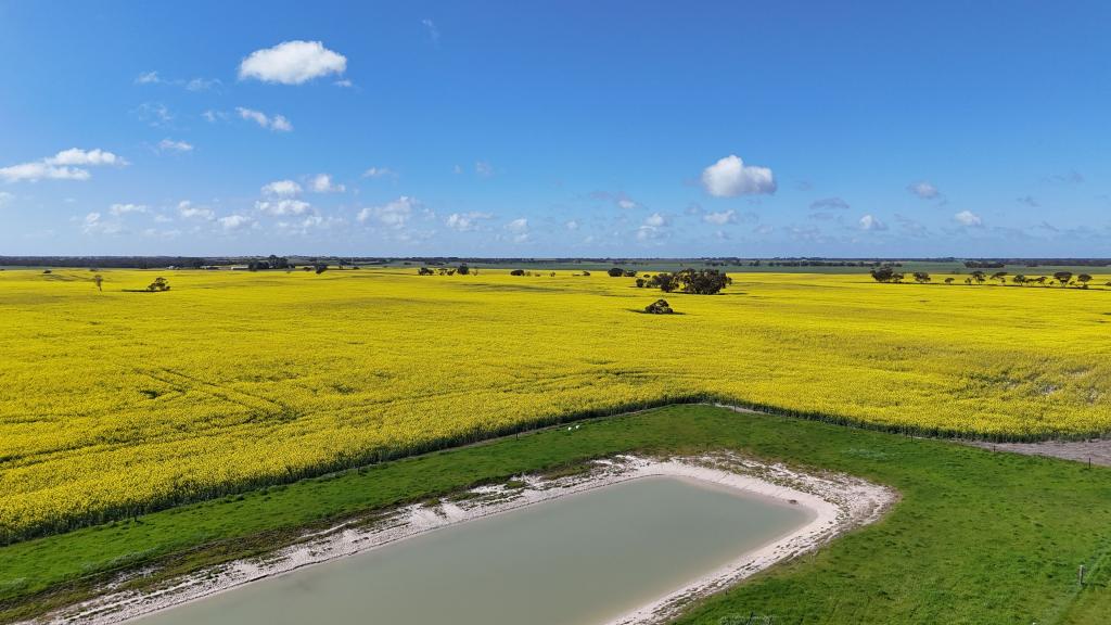 2117 Senior Rd, Senior, SA 5268