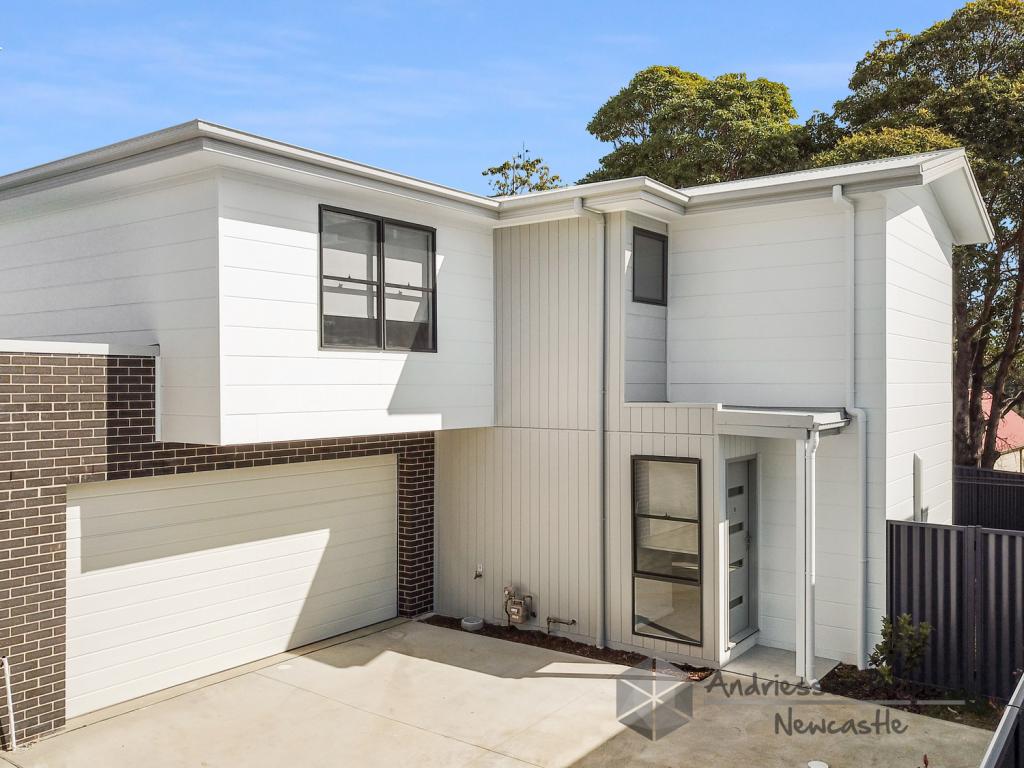 1/4 Sneddon Ct, Boolaroo, NSW 2284