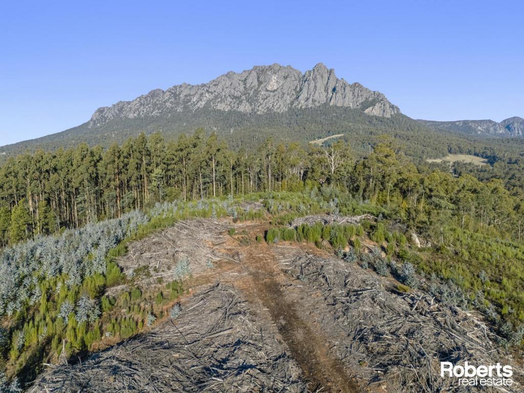 Lot 1 Patawalonga Rd, Claude Road, TAS 7306