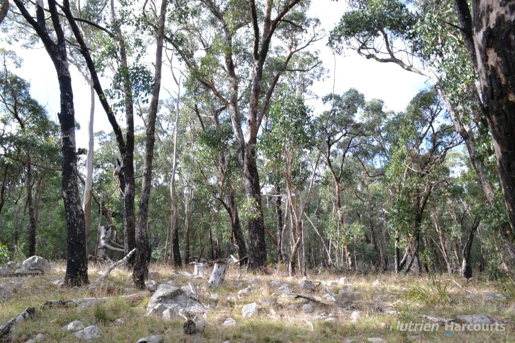 . Youngs Rd, Baynton, VIC 3444