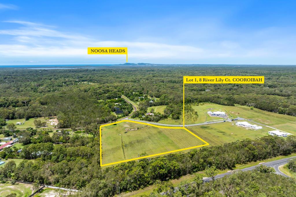 8 River Lily Ct, Cooroibah, QLD 4565