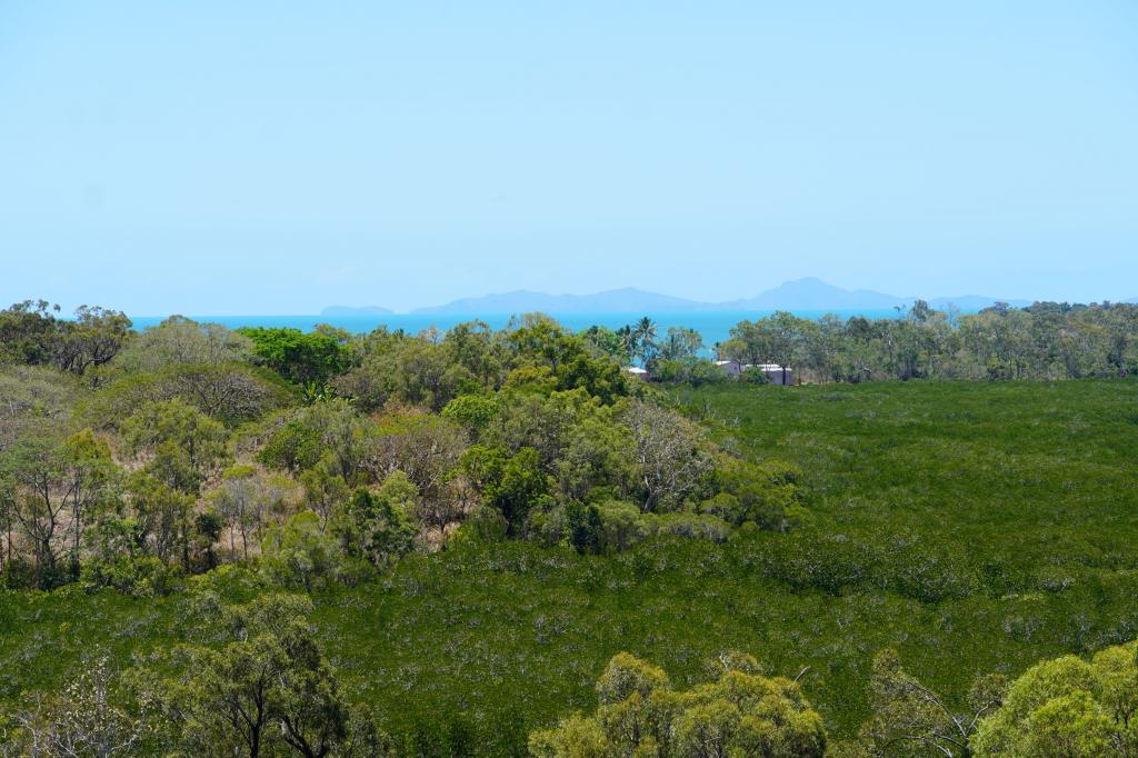 5 Harrison Ct, Seaforth, QLD 4741