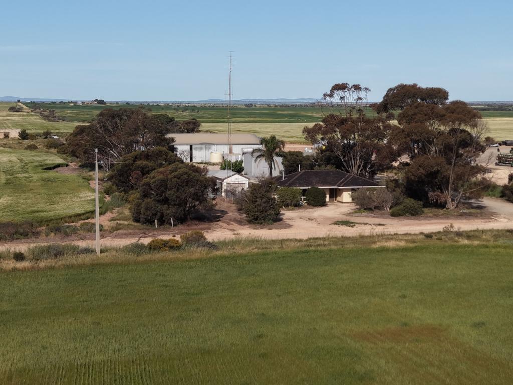 236 BULLS RD, KADINA, SA 5554