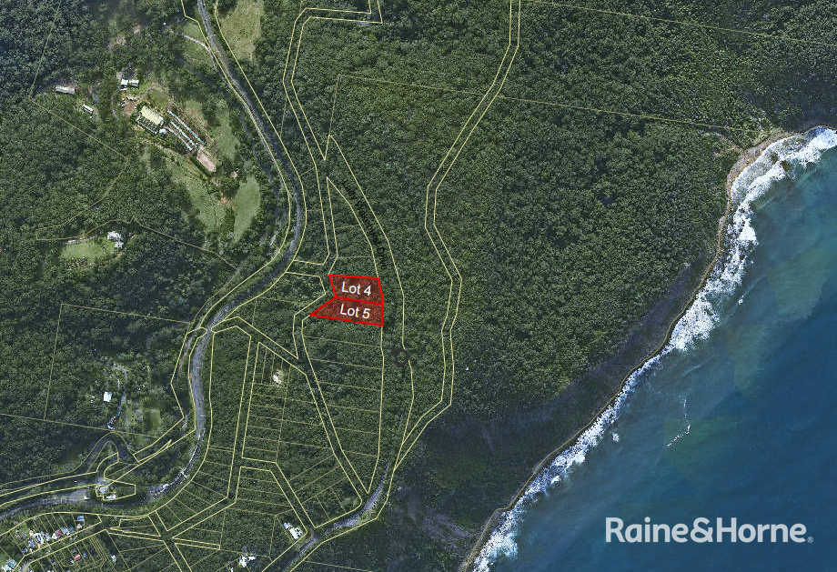 LOTS 4 & 5 SECTION 2 DP 4591 LADY CARRINGTON RD, OTFORD, NSW 2508