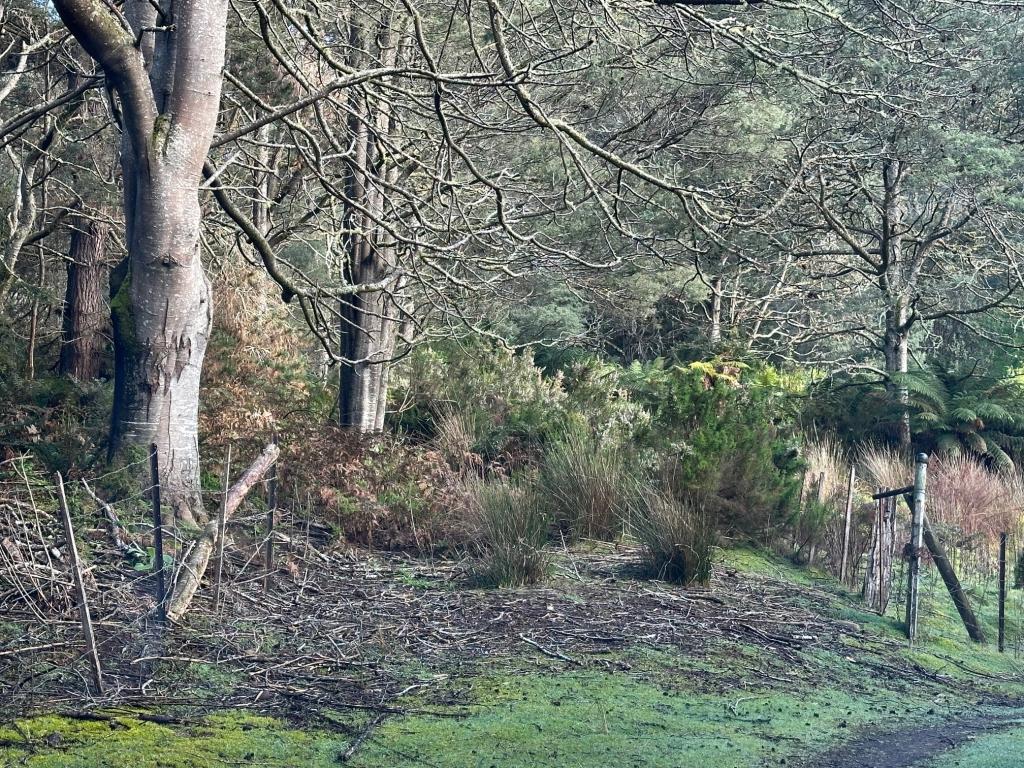 Lot 1, 2 & 3 Swamp Rd, Franklin, TAS 7113