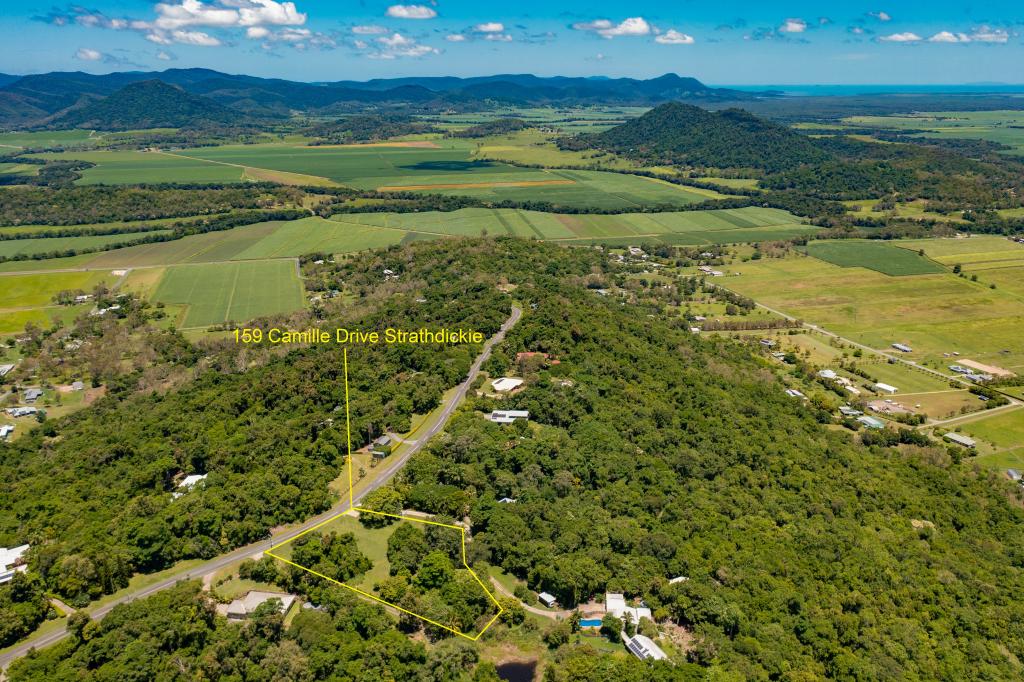 159 Camille Dr, Strathdickie, QLD 4800