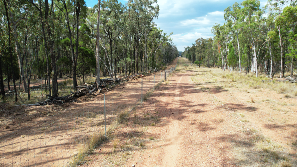 Lot 42 Mosquito Creek Road, Canning Creek, QLD 4357