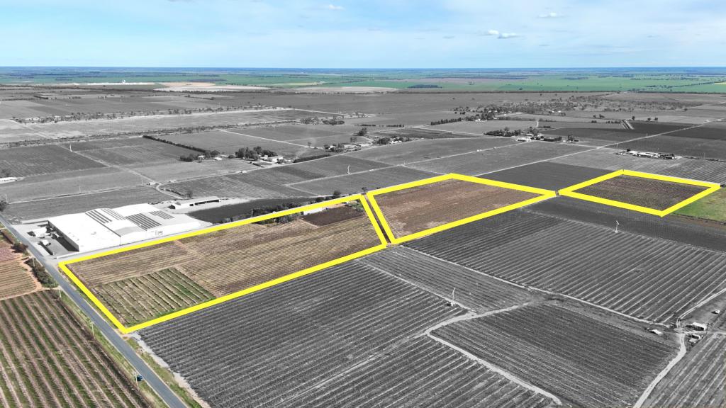 419 North South Rd, Woorinen North, VIC 3589