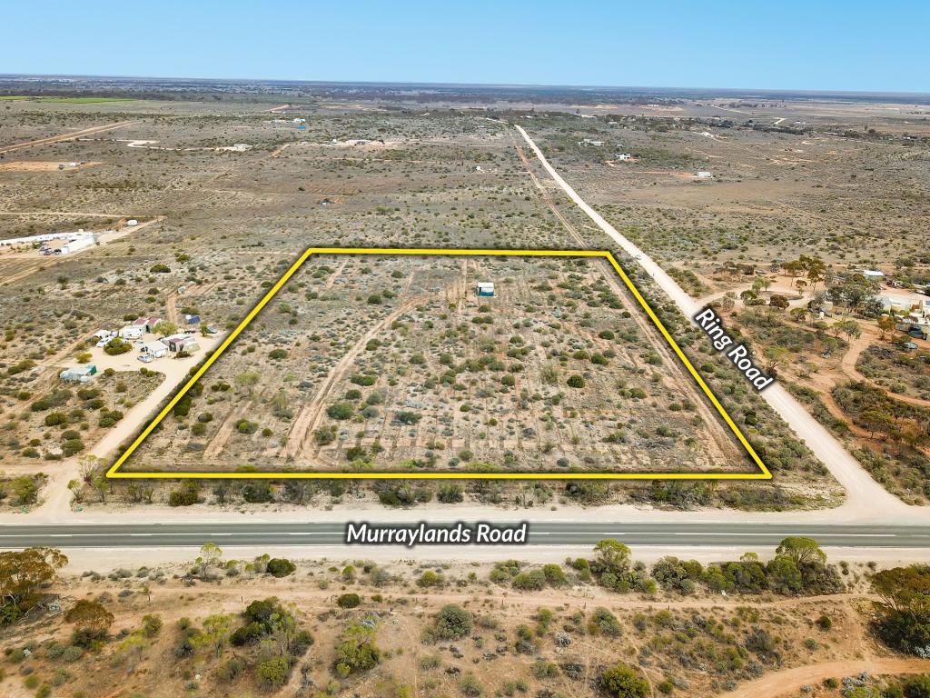 Lot 315 Murraylands Rd, Morgan, SA 5320