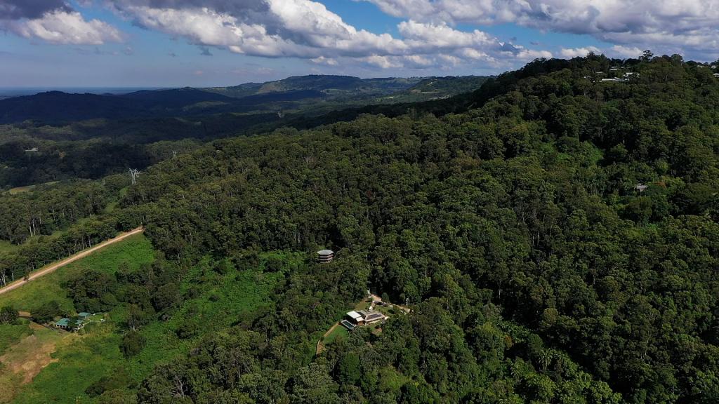 636 PALMWOODS-MONTVILLE RD, MONTVILLE, QLD 4560