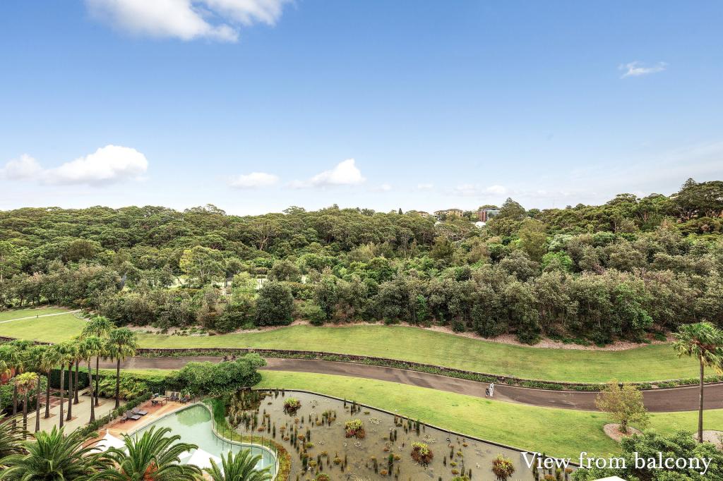 5H/2 KING ST, WAVERTON, NSW 2060