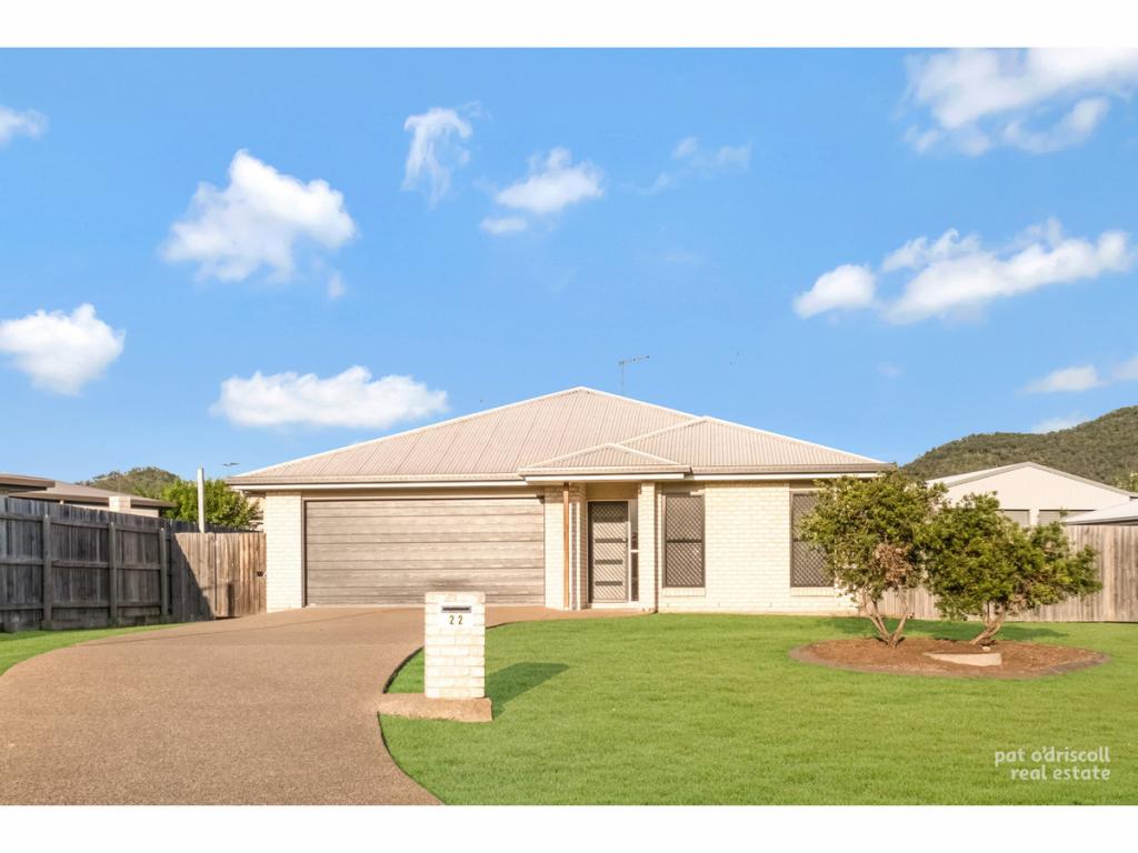 22 Mistletoe Ave, Norman Gardens, QLD 4701