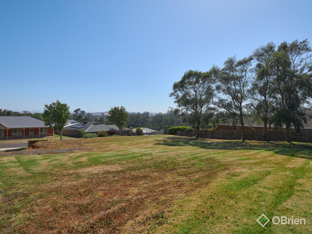 17 Vivian Ct, Drouin, VIC 3818