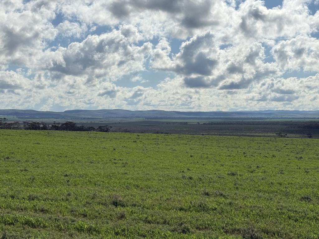 Lot 163 Tungali Rd, Sandleton, SA 5356