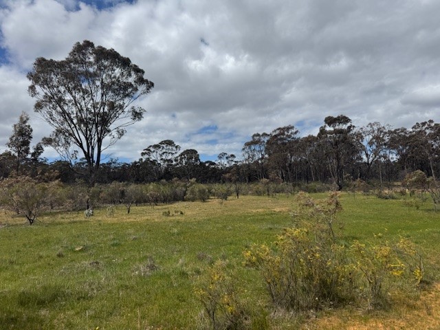 Lot 30 Wheelhouse Rd, Wehla, VIC 3518