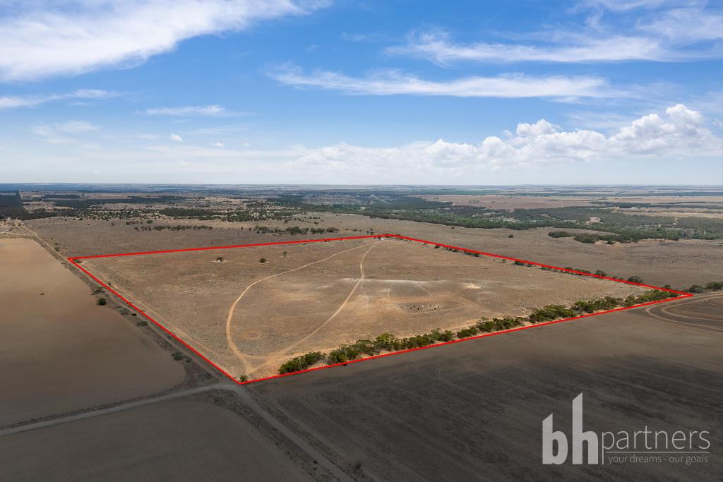 344 Rochow Rd, Black Hill, SA 5353
