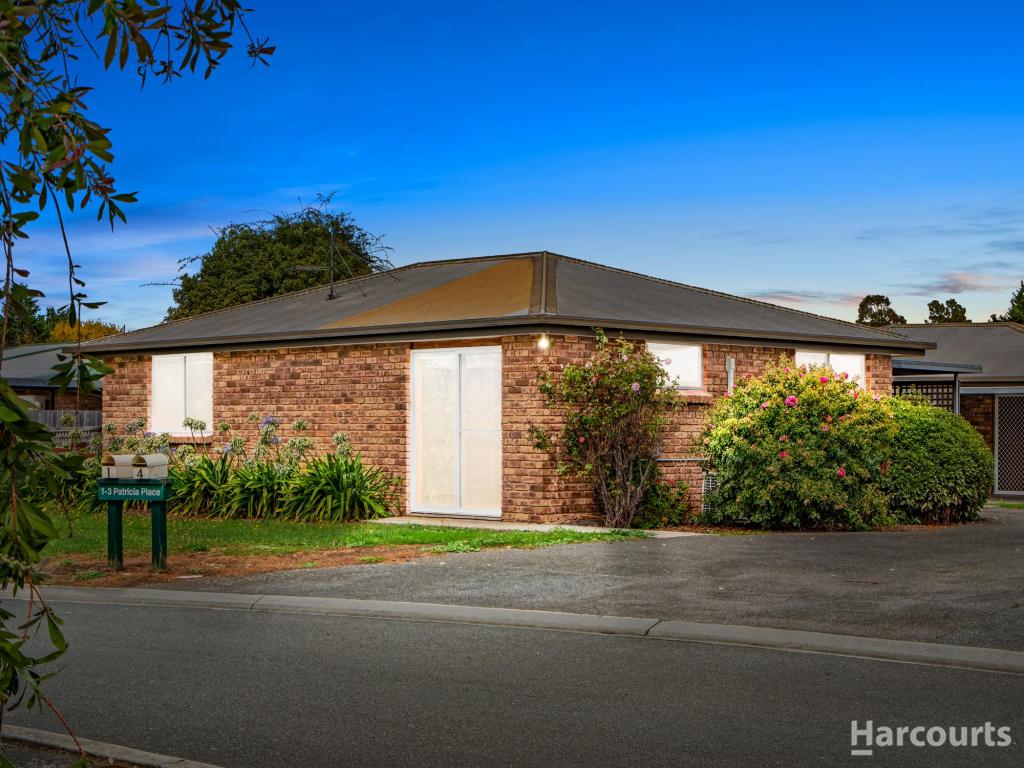 1/1-3 Patricia Pl, Newnham, TAS 7248