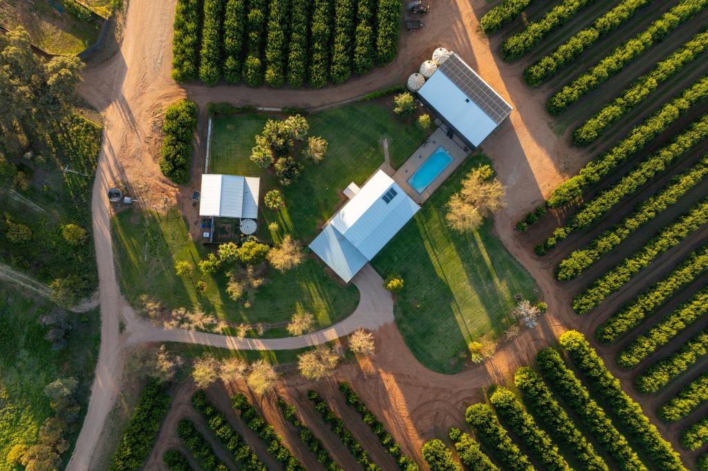 46 Hollins Rd, Red Cliffs, VIC 3496