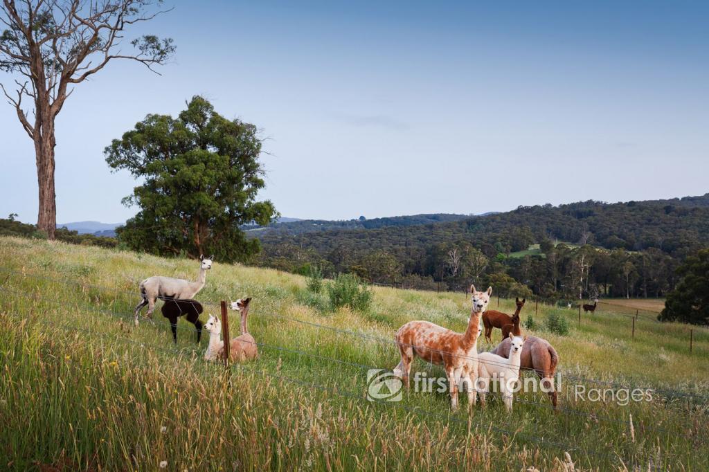 8 Kennedy Rd, Avonsleigh, VIC 3782