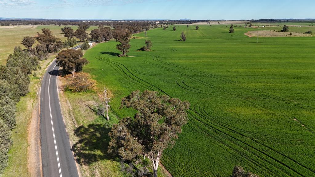 1 Dawes Rd, Forbes, NSW 2871