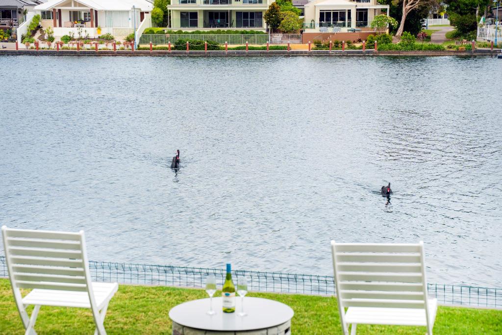 202/4 Melody Ct, Warana, QLD 4575