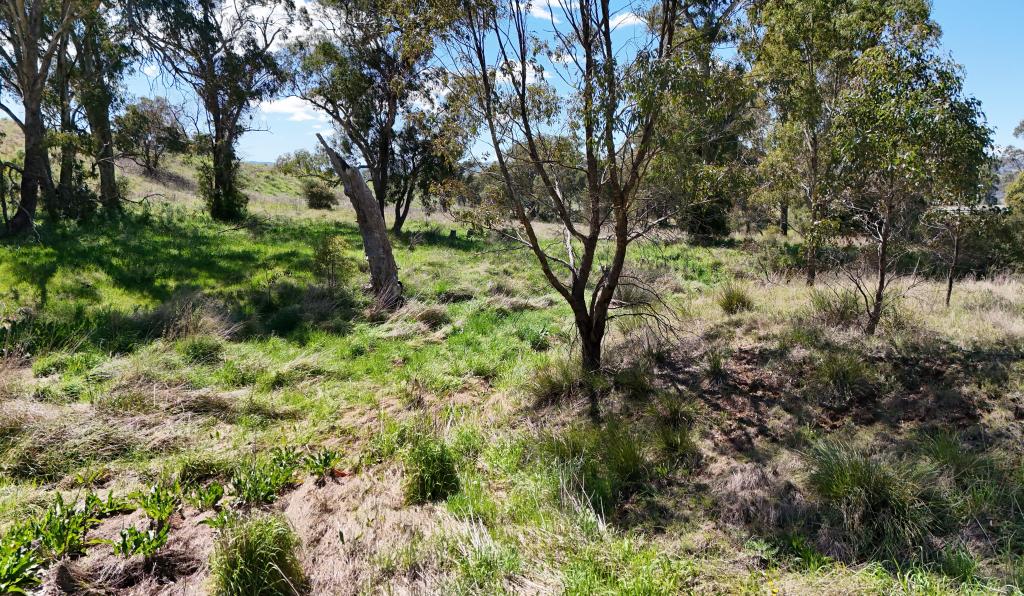 Lot 52 New England Hwy, Murulla, NSW 2337