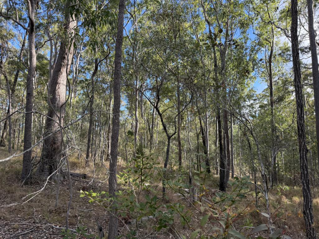 Lot 753 Arbortwentyeight Rd, Glenwood, QLD 4570