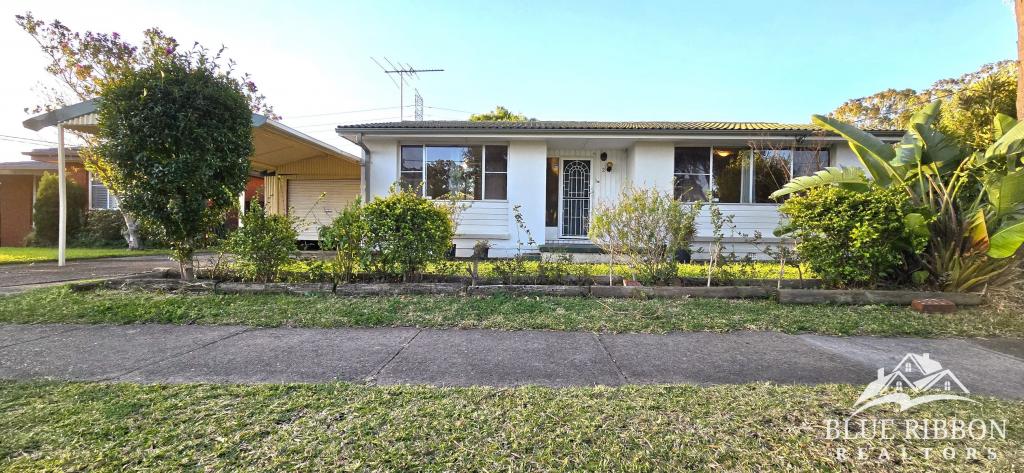 2 Rausch St, Toongabbie, NSW 2146