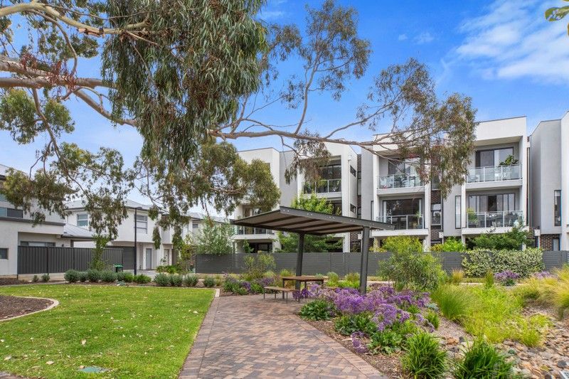 37/9 Arabella Ct, Marden, SA 5070