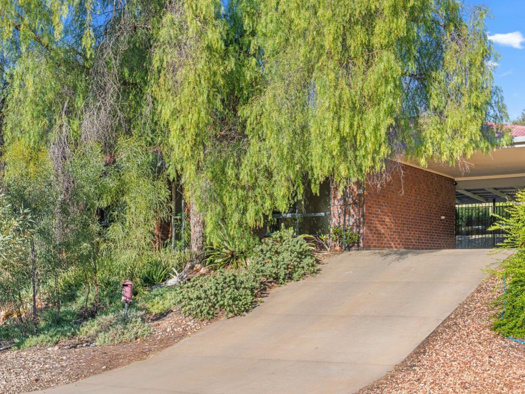 3 Mirus Ct, Larapinta, NT 0875