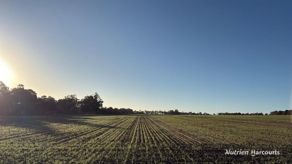 1368 Yilliminning Rd, Boundain, WA 6312