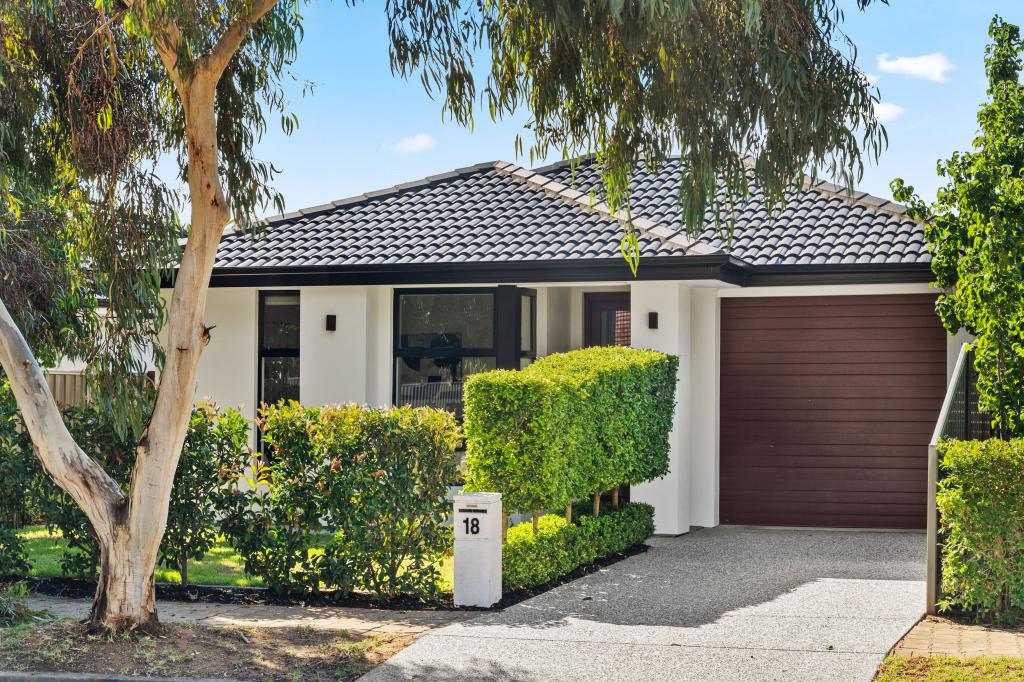 18 Nixon St, Marion, SA 5043