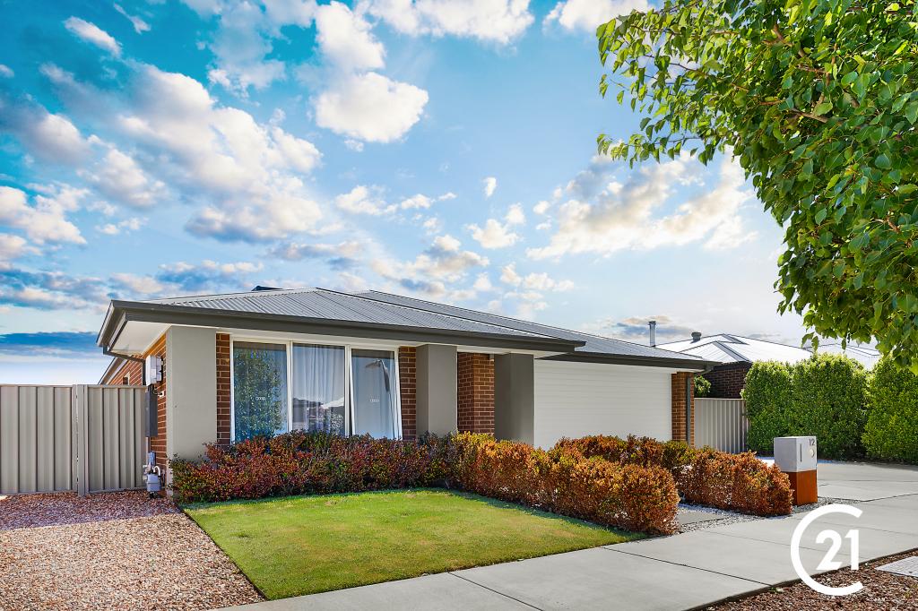 12 Birch St, Echuca, VIC 3564