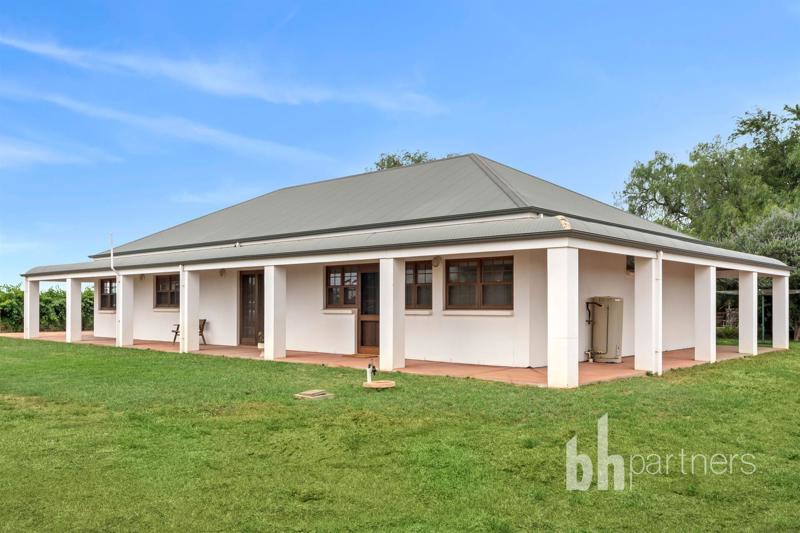 20 Germein Rd, Barmera, SA 5345