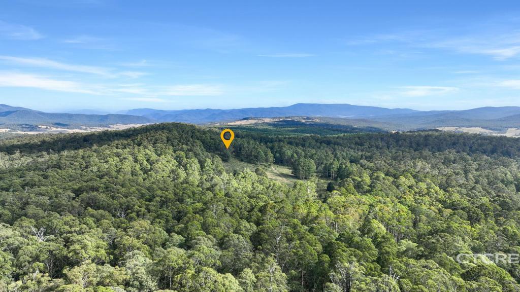 12f & 12g Minchins Trk, Bonang, VIC 3888