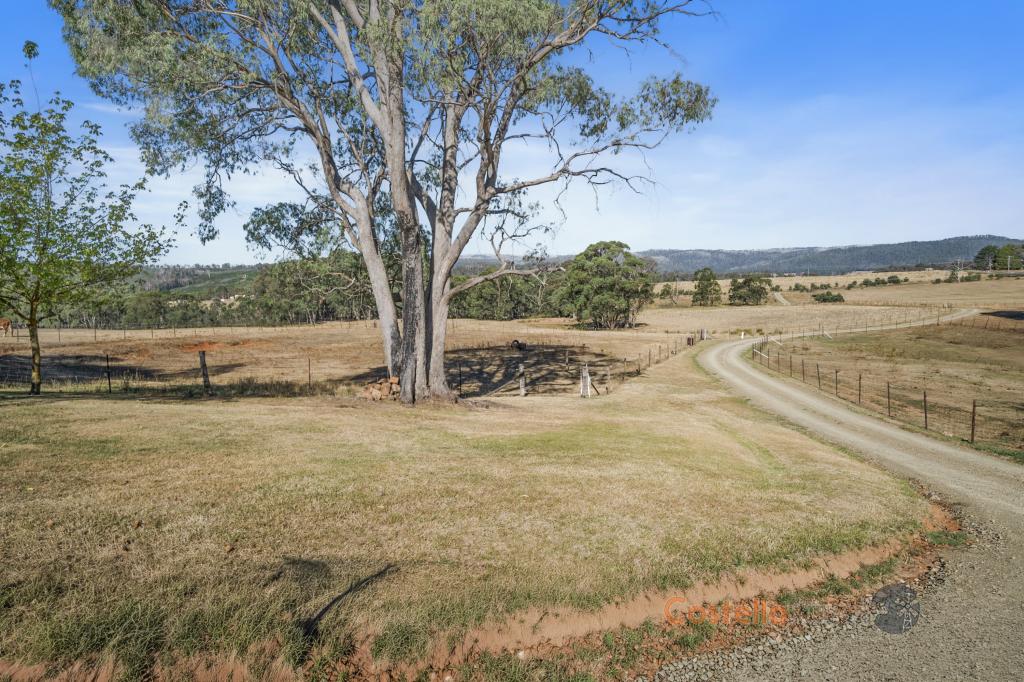 195 WILLIGOBUNG RD, WILLIGOBUNG, NSW 2653