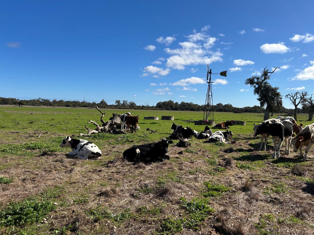 LOT 4607/- CNR RIVERDALE & NICHOLSON RD, COOKERNUP, WA 6219