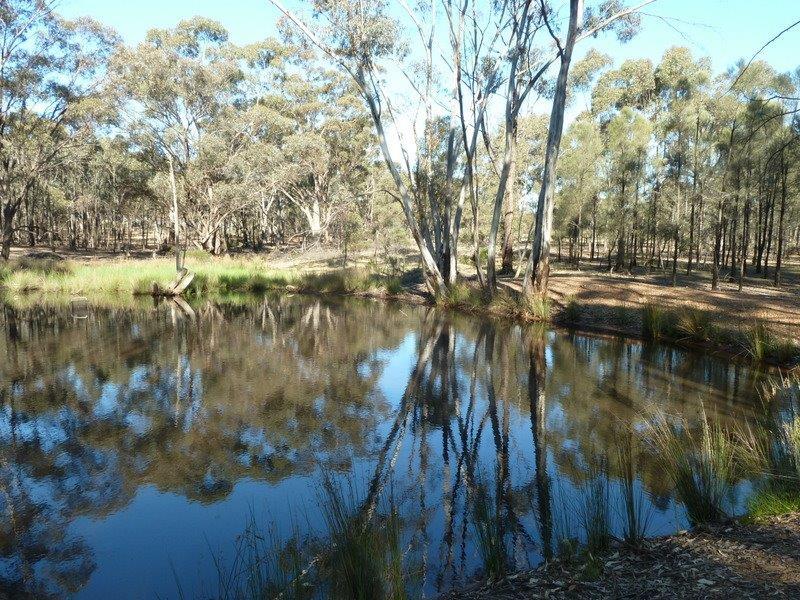 Lot 14 Wheelhouse Rd, Wehla, VIC 3518