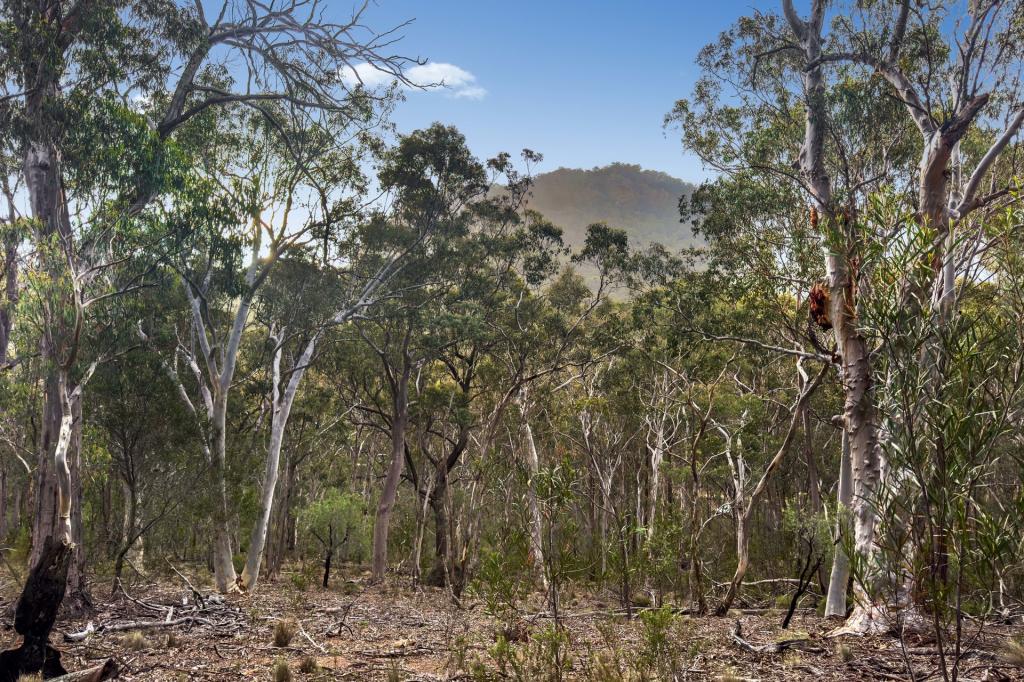 Lot 22 Glen Davis Rd, Capertee, NSW 2846