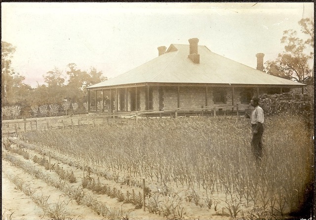 43 Porter St, Gwelup, WA 6018