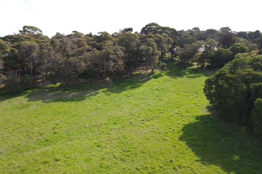 Lot 134/238 Link Rd, Marbelup, WA 6330