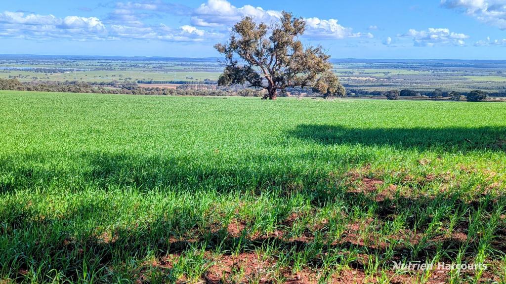 5428 Brand Highway, Boonanarring, Gingin, WA 6503