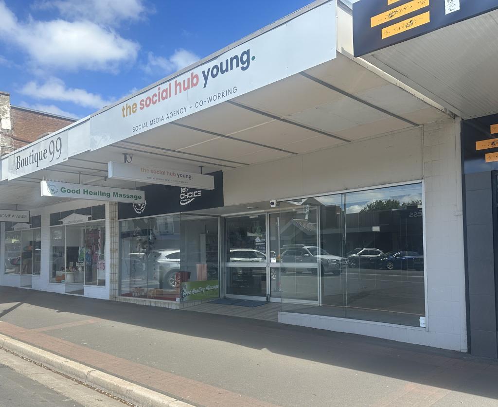 160 BOOROWA ST, YOUNG, NSW 2594
