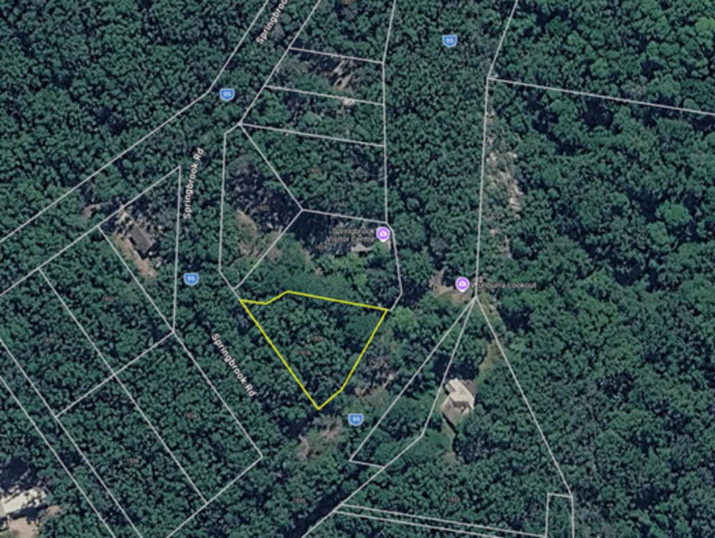 1926 Springbrook Rd, Springbrook, QLD 4213