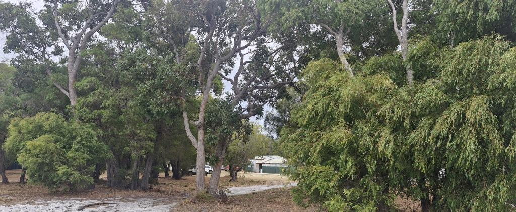 10 LATHAM AVE, WALPOLE, WA 6398